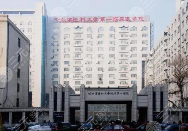 哈尔滨综合医院：医疗技术与服务并重的发展趋势